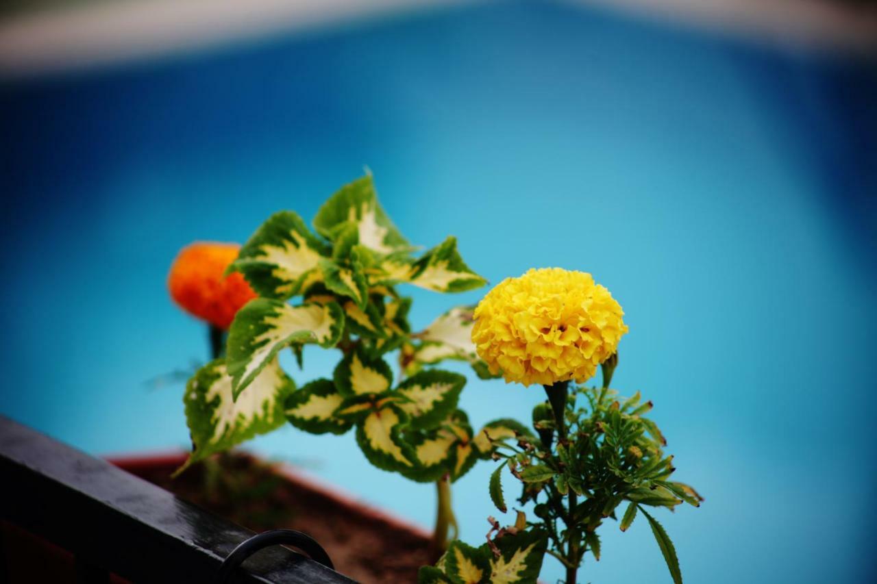 Can Otel Bodrum Extérieur photo